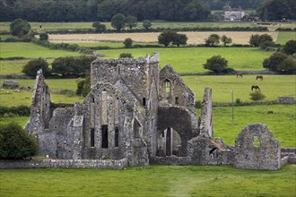 Hore Abbey viewed from the Rock of Cashel