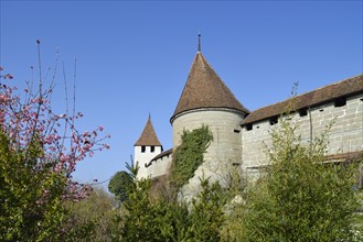 City wall with towers