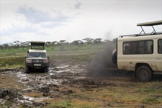 Safari vehicles