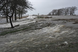 Storm surge on the lower Weser River