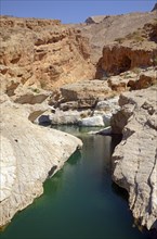 A pool filled with green water surrounded by the rocks of the desert