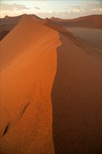 Sossusvlei dunes in the morning light