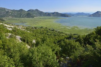 View over Skadar Lake National Park