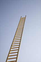 Golden Ladder