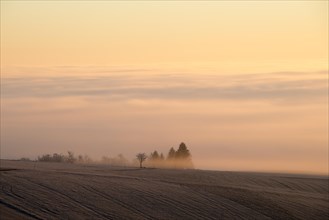 Early morning at Witthoh ridge