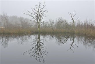 High moor in autumn