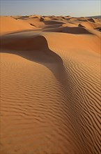 The sand dunes of the Wahiba Sands
