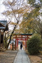 Japanese runs between Torii gates