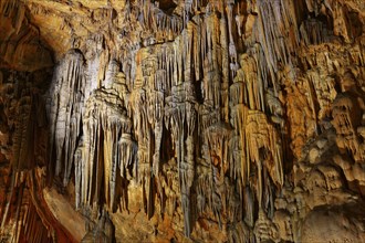 Stalactites