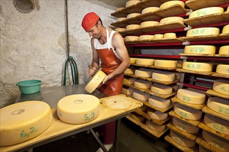 Dairyman washing the cheese wheels which are stacked in his cheese cellar in brine daily