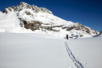 Ski tourer in the high valley above Lech am Arlberg
