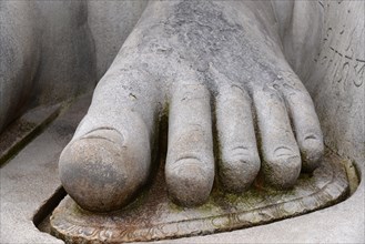 Foot of the Gomateshwara statue