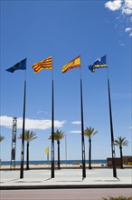 Flags of Spanish regions on flagpoles against blue sky