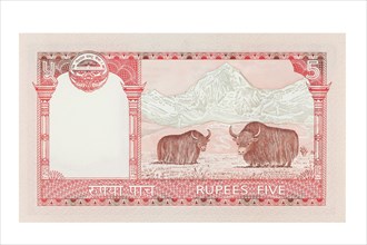 Nepalese five rupee banknote