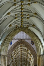 Vaulted ceiling of York Minster