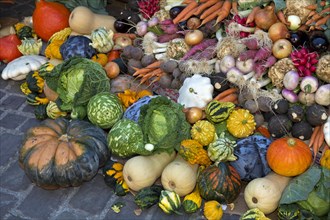 Colourful display of different varieties of vegetables at a market stall