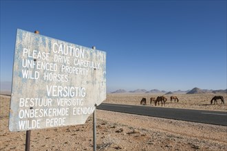 Warning and wild horses in the Namib Desert