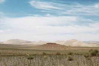 Steppe and sand dunes of Khongoryn Els
