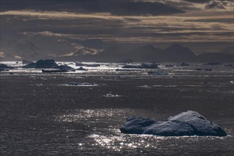 Moody light over the icebergs and glaciers