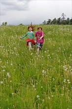 Two children running on a meadow with blowballs