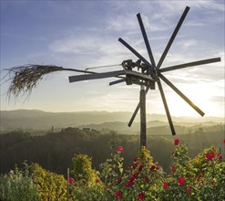 Klapotetz bird scarer with roses and a vineyard in the evening light