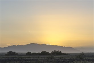 Landscape of the Namib Desert at sunrise