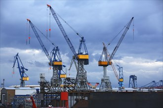 Cranes on a dock of the Blohm + Voss shipyard in the evening light