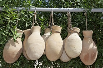Clay jugs hanging in front of oleander shrubs