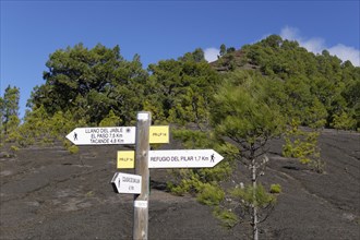 Signposts for Hikers