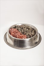 Dog bowl with two kinds of raw meat