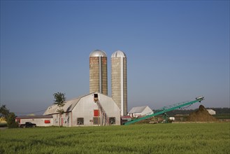 Dairy farm building with two grain silos