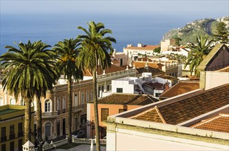 View over the roofs of La Orotava