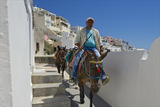 Muleteers