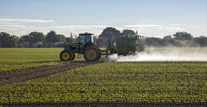 A tractor driver sprays pesticide on a crop