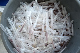 Used test tubes and pipettes with blood samples in a waste container
