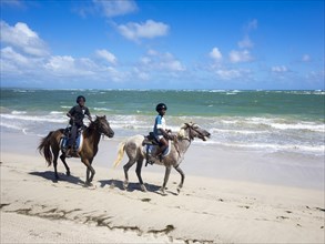 People riding horses on the beach