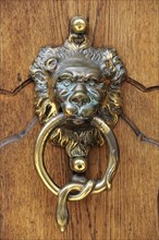 Lion head as a door knocker at the entrance portal