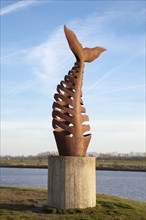 Fish bone sculpture