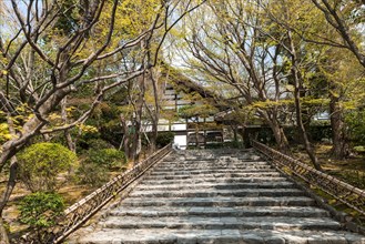 Stairs to Ryoanji Temple Kori