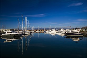 Port of Marina di Pisa