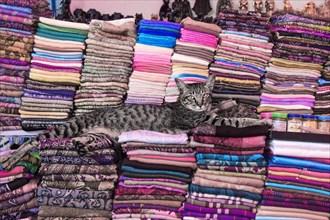 Cat lying on piles of fabric