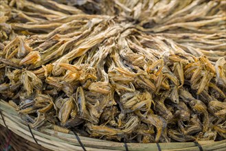 Dried fish for sale at the weekly market