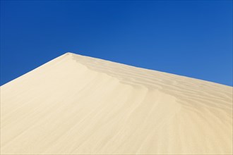 Dune