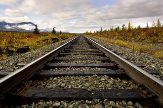 Railroad track