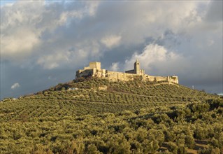 The castle La Mota in Alcala la Real