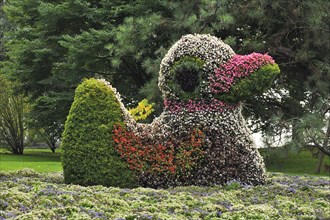 Duck figure from different flowers