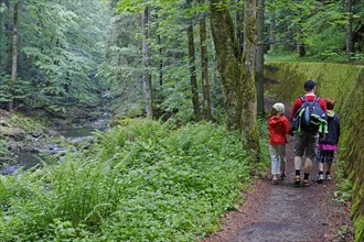 Hikers in the Wildbachklamm Buchberger Leite geotope