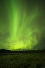 Aurora borealis over College Fjord