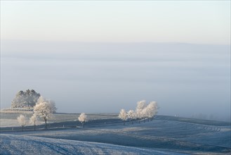 Country road with frost at Witthoh ridge