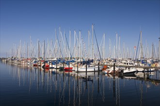 Sailboats in the marina